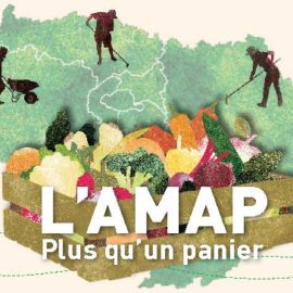 amap carte postale web Page 1
