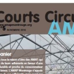 courts circuits 5