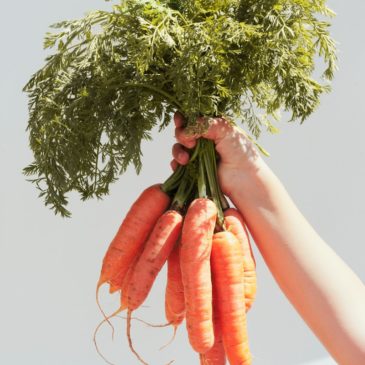 Recette de la semaine : croquettes de carottes et pommes de terre