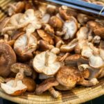 Photo by Yuval Zukerman brown and white mushrooms on brown woven basket