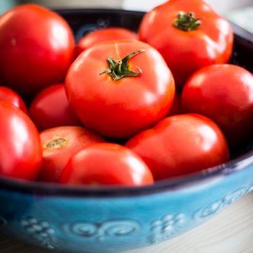 Recette de la semaine : millefeuille facile aux courgettes, tomates et boursin