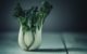 shallow focus photography of cabbage