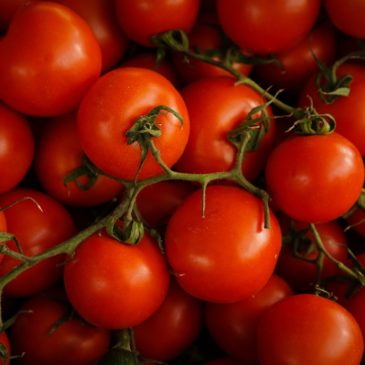 Recette de la semaine : tartelettes tomates et cerises