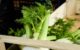 a crate filled with lots of green vegetables